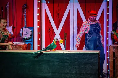 bird at Comedy Barn